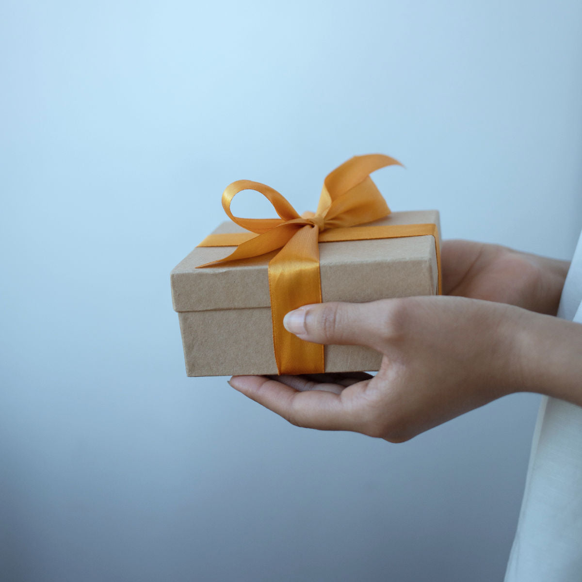Tree Dog Studio gift card